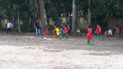 Hội khỏe Phù Đổng năm 2019 - 2020