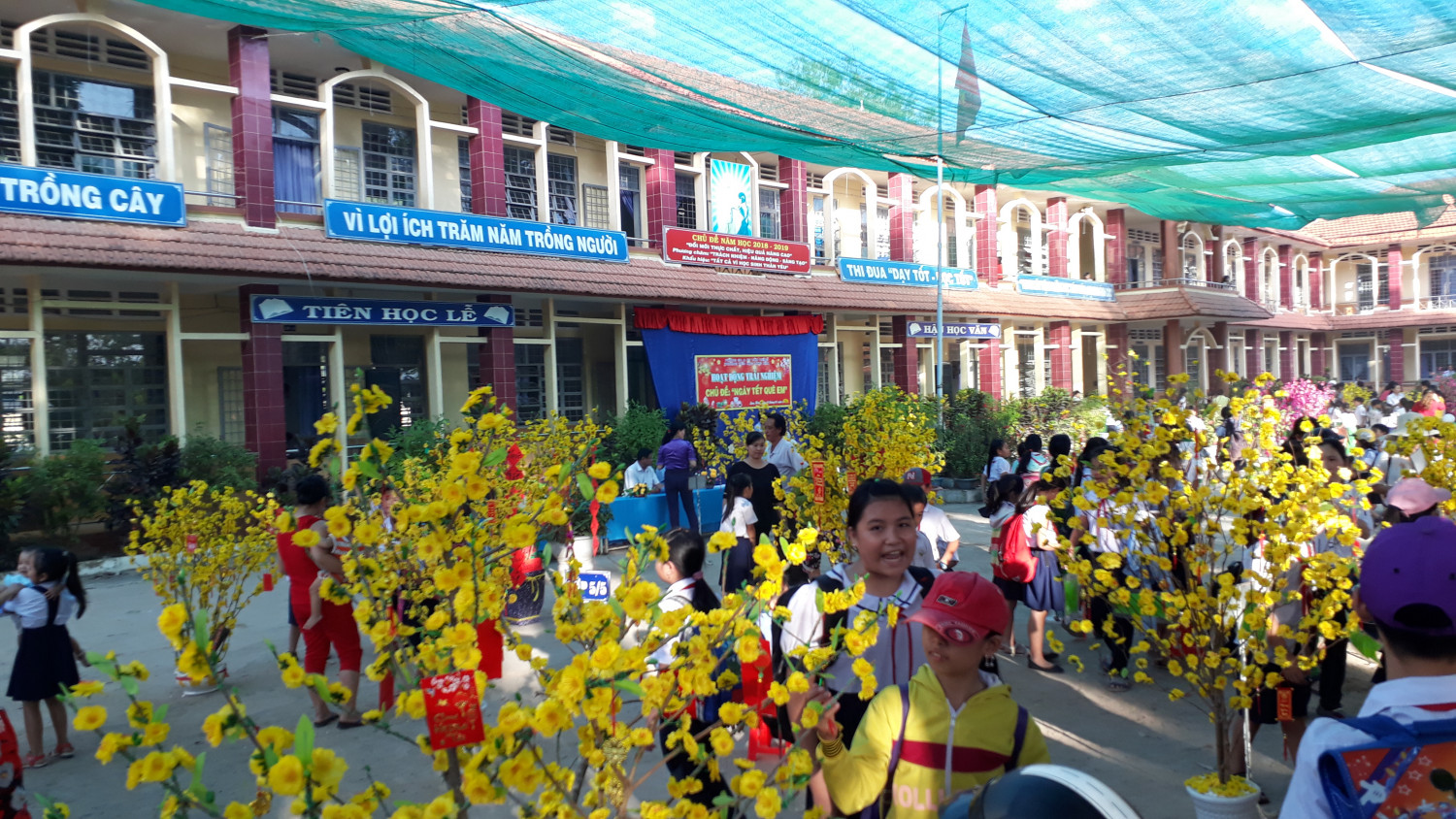 Hoạt động trải nghiệm: Ngày tết Quê em